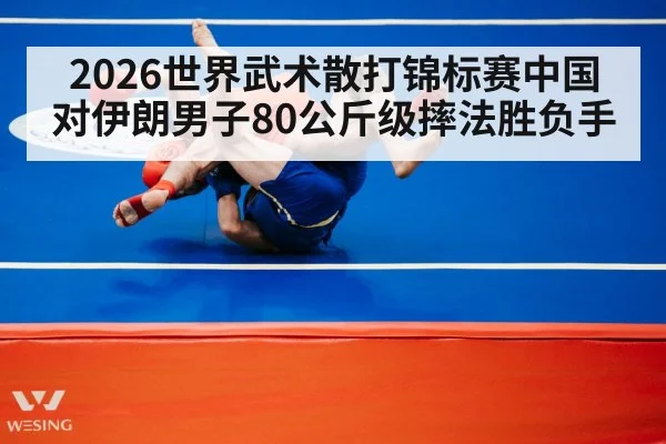 2026世界武术散打锦标赛中国对伊朗男子80公斤级摔法胜负手